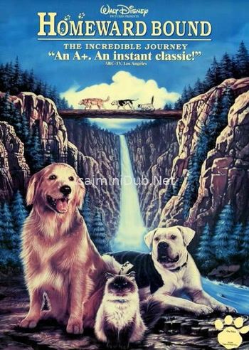 Homeward Bound The Incredible Journey (1993) Movie Poster