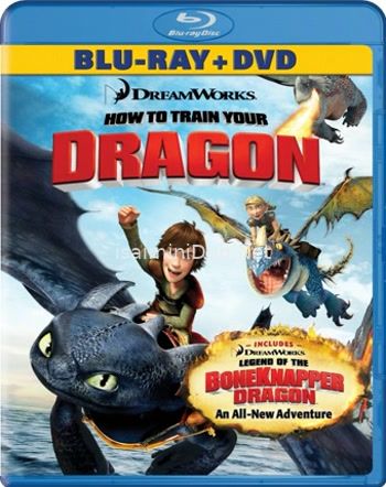 How To Train Your Dragon 1 (2010) Movie Poster