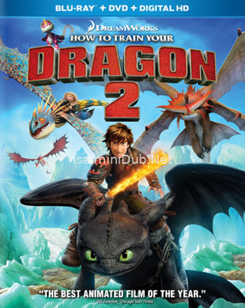 How To Train Your Dragon 2 (2016) Movie Poster