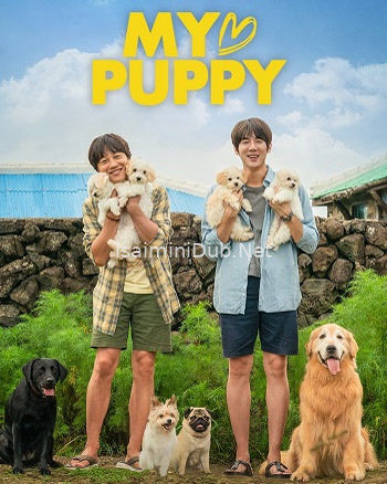 My Heart Puppy (2023) Movie Poster