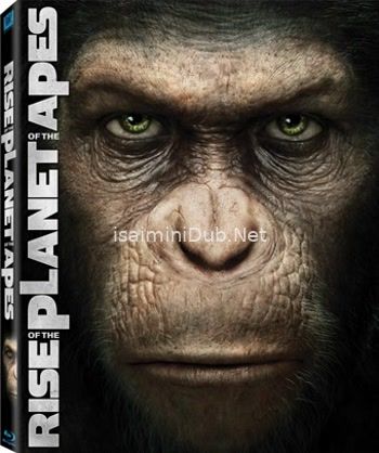 Rise Of The Planet Of The Apes (2011) Movie Poster