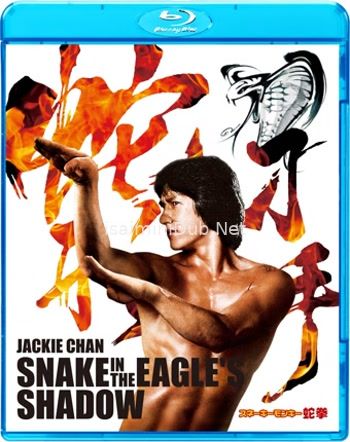 Snake In The Eagle S Shadow (1978) Movie Poster