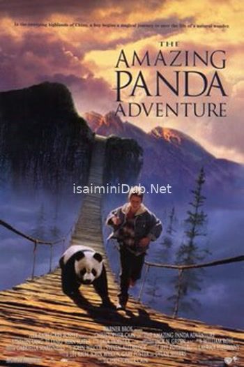 The Amazing Panda Adventure (1995) Movie Poster