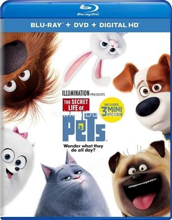 The Secret Life Of Pets (2016) Movie Poster